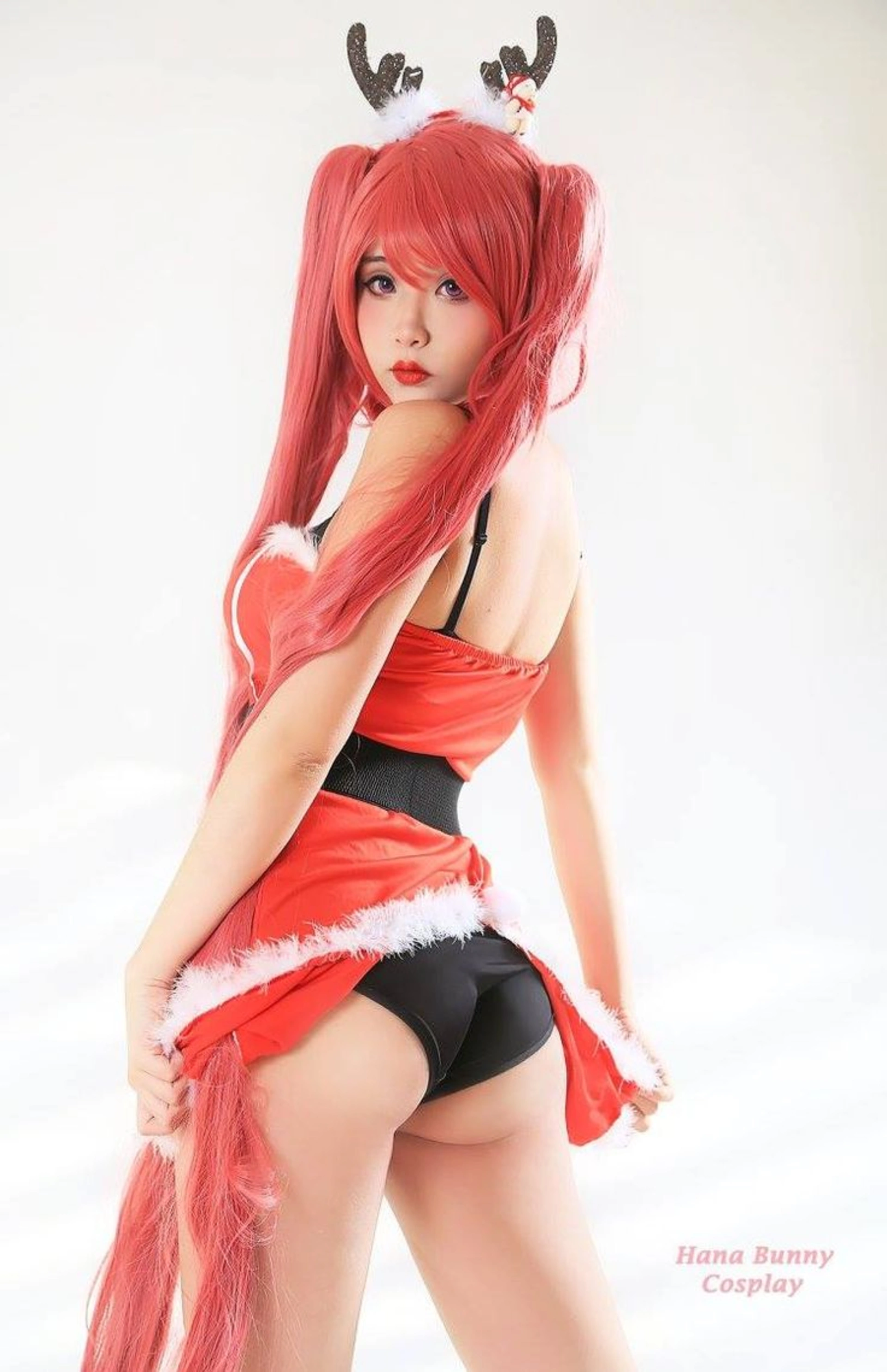 Hana Bunny - NO.081 Misc 0